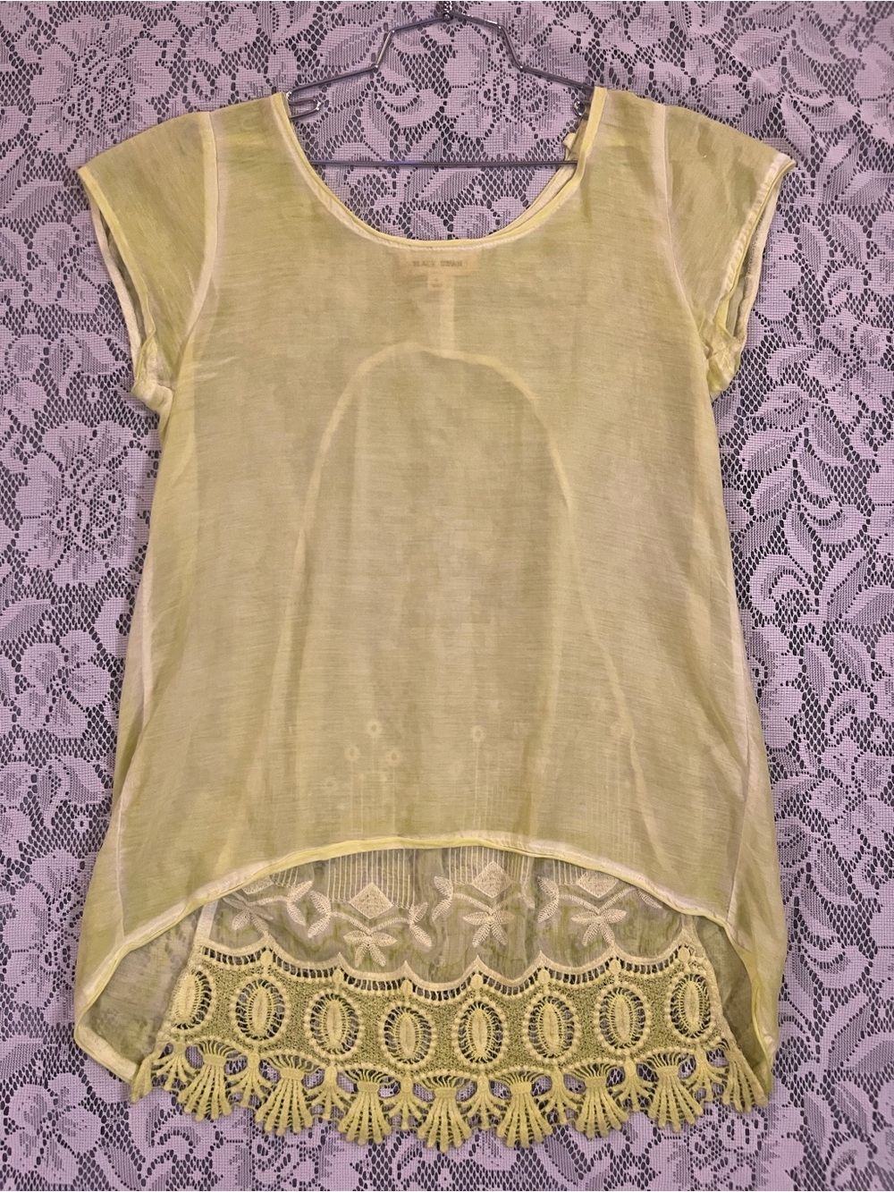 Black Swan Cotton & Silk Sheer Embroidered Crocheted Lace Hem Top